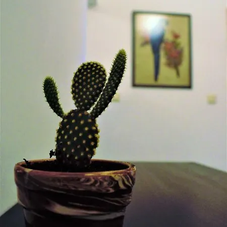 Asia's Place Apartman