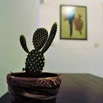 Asia's Place Διαμέρισμα