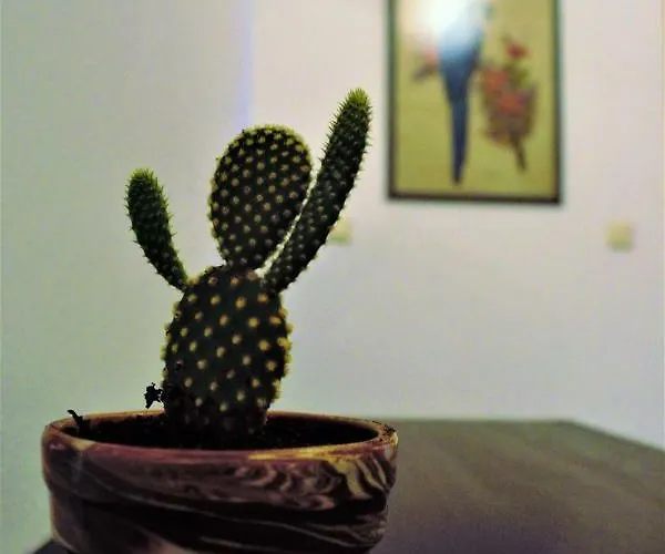 Asia's Place Apartament